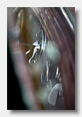 2007-07-28 0531